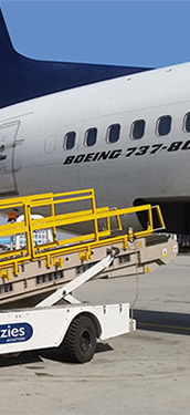 formc avsaf 01 172×375